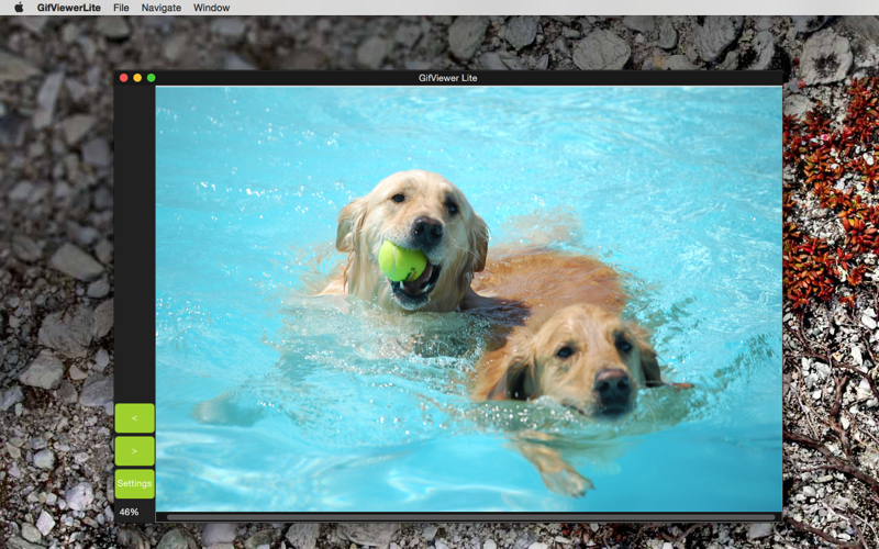 Скриншот из GifViewer Lite