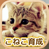 Cat Healing Life PC 용