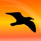 Top 12 Games Apps Like VoxTraining Seagull - Best Alternatives