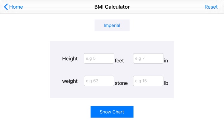 My Body Measurement