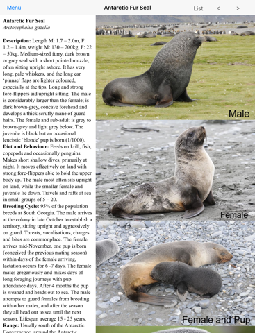 Antarctic Wildlife Guide - náhled