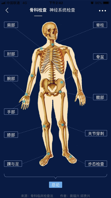 人的前面身体图图片