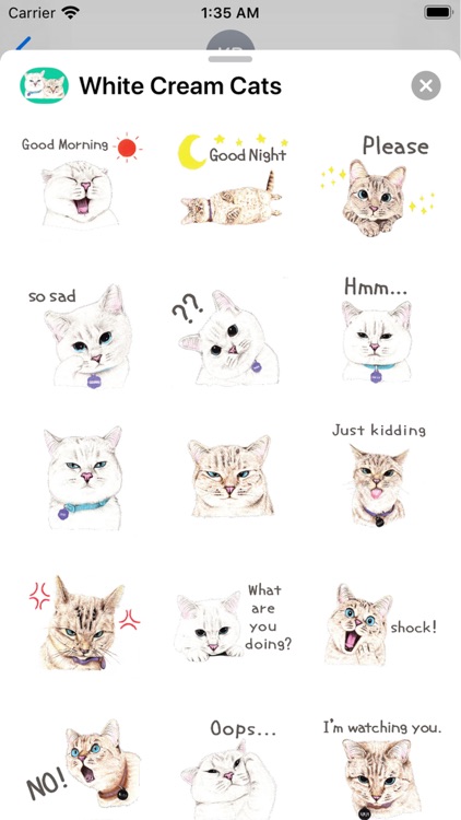 White & Cream Cat Stickers