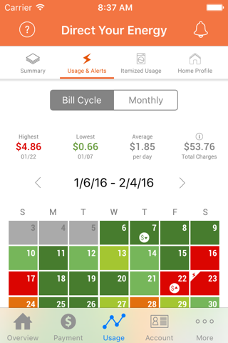 Direct Energy Account Manager screenshot 2