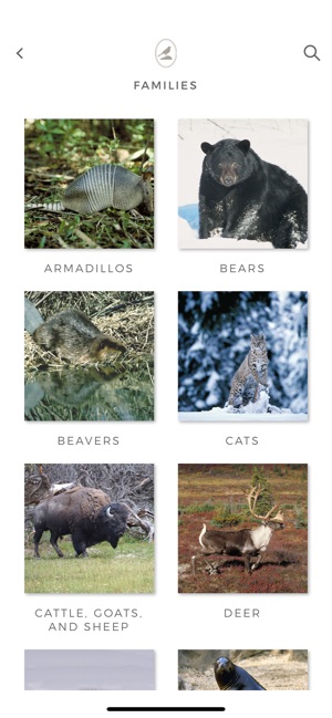 Fieldstone Guide: Mammals