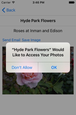 Hyde Park Flowersのおすすめ画像3