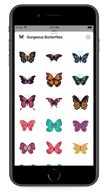 Gorgeous Butterflies