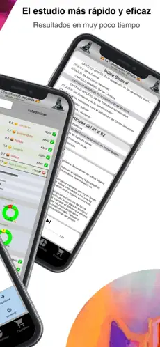 Obrázek 2 Tests La Constitución Hablada iphone