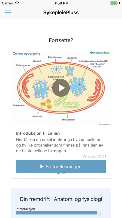 SykepleiePluss