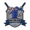 Ninja trading bahrain store Gaming Accessories , Phone Accessories , Retro Games , and Computer And Laptop Accessories