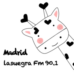 Madrid lasuegra Fm 90.1