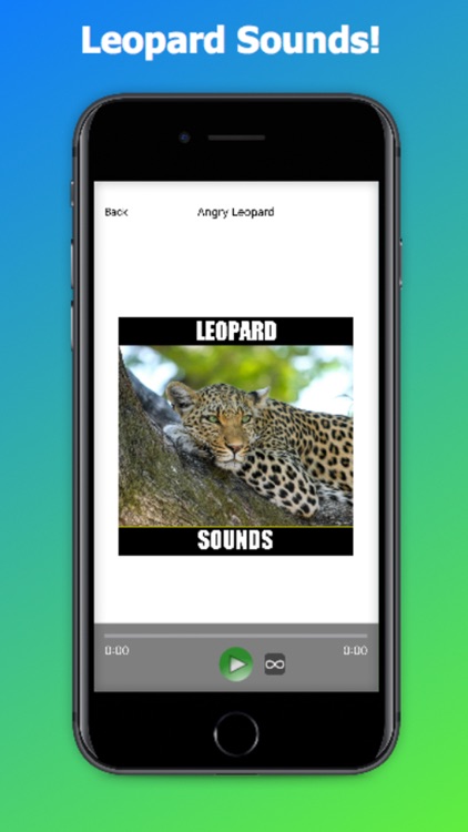 Leopard Sounds