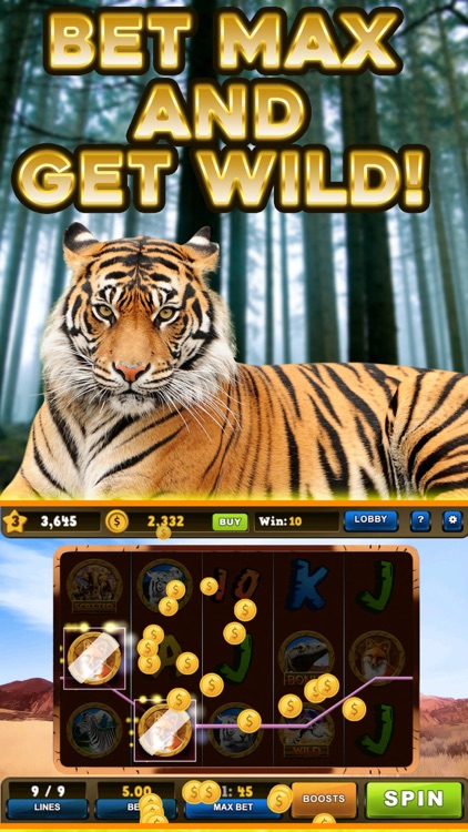 Wild Tiger Slots Machine Games