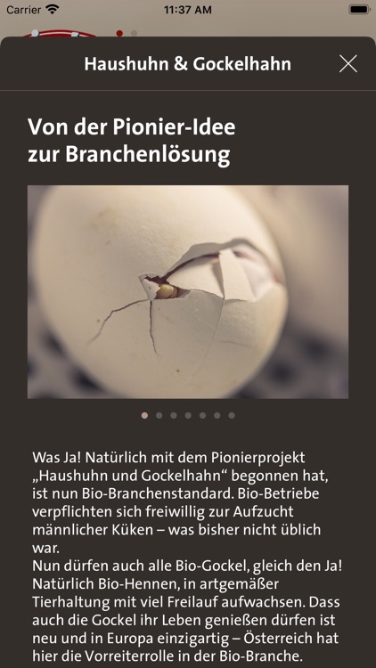 Kikeriki! screenshot-4