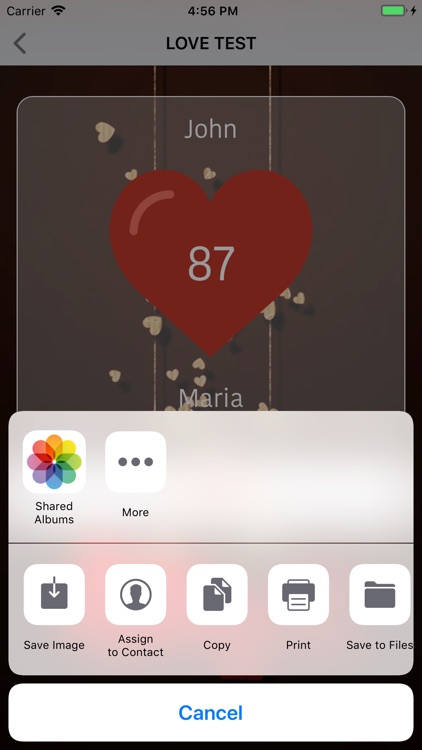 Love-Test screenshot-3