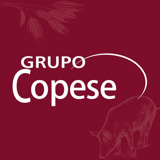 Grupo Copese