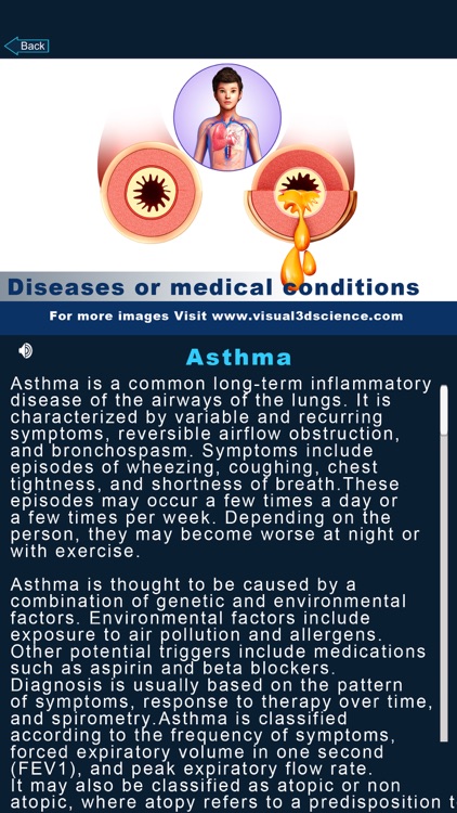 My Respiratory System Anatomy screenshot-6