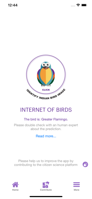 Internet of Birds(圖4)-速報App