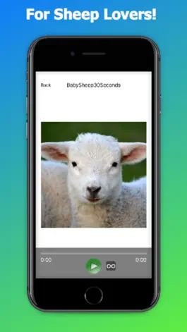 Game screenshot Sheep Sounds + Sheep Noises hack