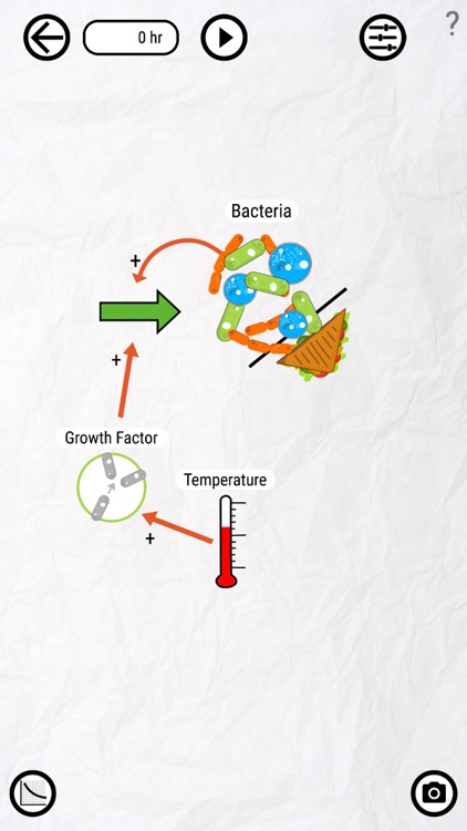 Bacteria Sandwich