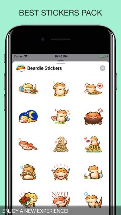 Beardie Chat Stickers screenshot 4