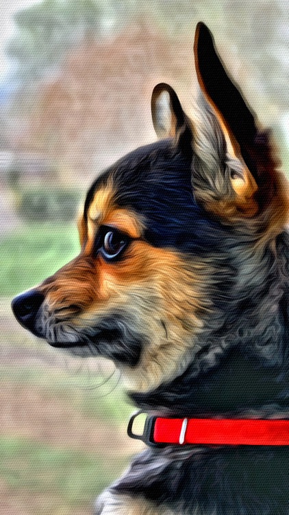 Portrait Painter screenshot-4