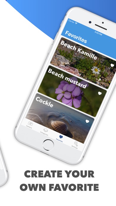 How to cancel & delete Beach Detector - Your guide from iphone & ipad 4