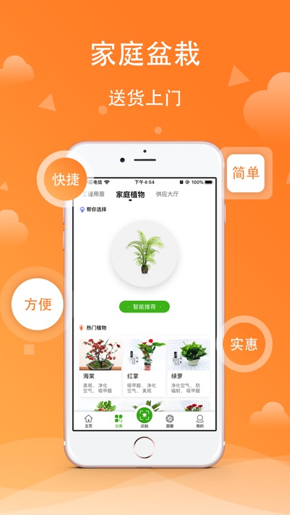 苗木之家 - 打造最美阳台