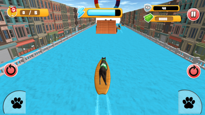 Dog Surfing Championship 2020 screenshot 3