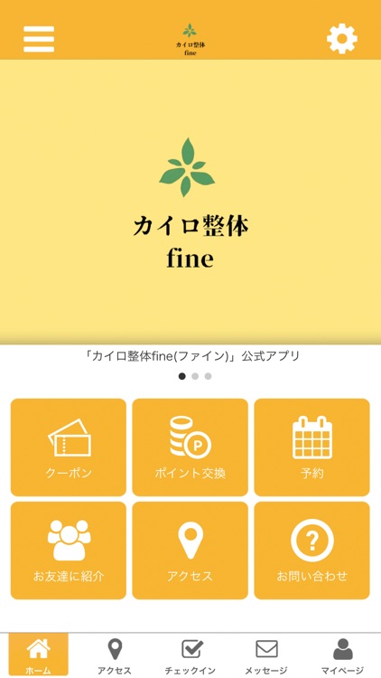 整体カイロ fine