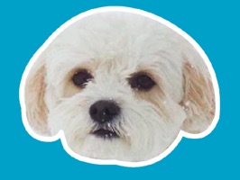 Enclosed in this sticker set you will find 26+ adorable puppies