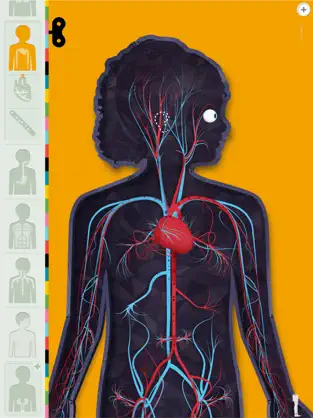 Capture 3 El Cuerpo Humano por Tinybop iphone