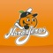 Descarga la App Oficial del Club Naranjeros, equipo de beisbol profesional de México