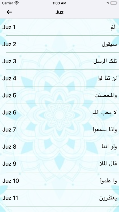 Holy Quran with Talawat screenshot 4