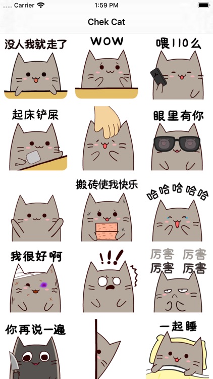 ChekCat