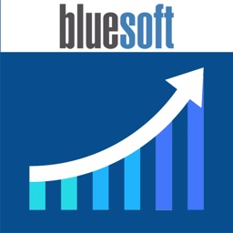 Bluesoft Sales Analytics