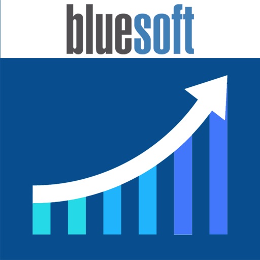 Bluesoft Sales Analytics