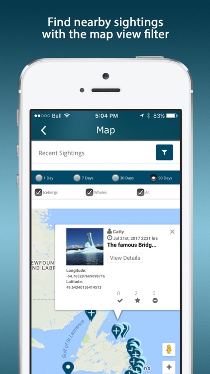 Iceberg Alley - Sightings