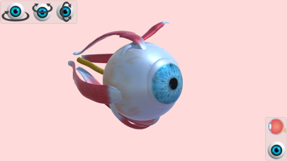 目の解剖学アトラスのおすすめ画像1
