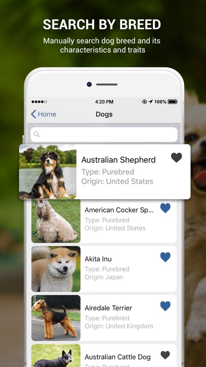 Dog Book: Breed Identifier screenshot-4