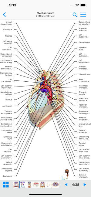 ‎App Store: IMAIOS E-Anatomy