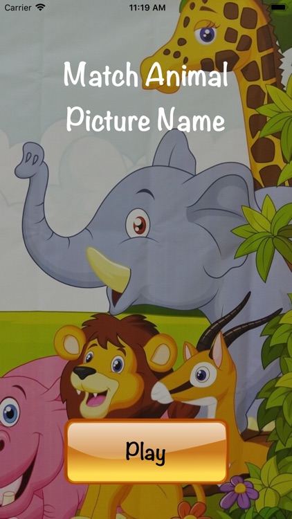 Match Animal Picture Name