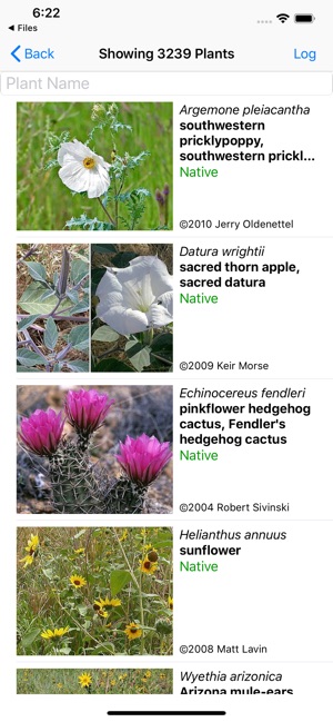 New Mexico Wildflowers(圖2)-速報App