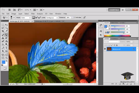 VC for Adobe Photoshop in HD screenshot 2