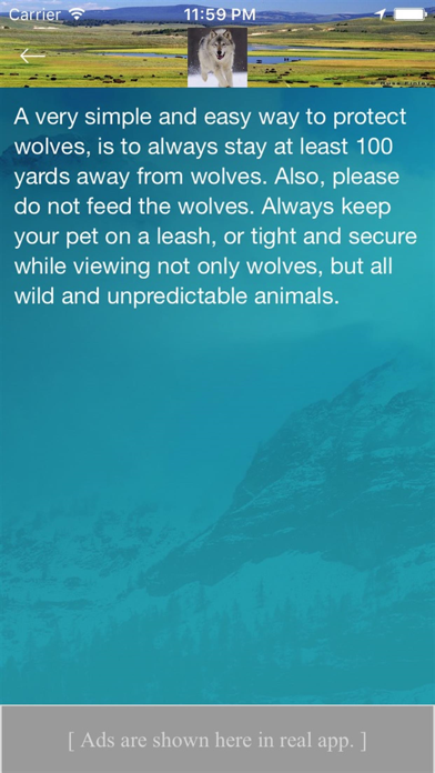 Yellowstone Wolves And Packs screenshot 4