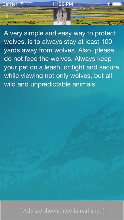 Yellowstone Wolves And Packs screenshot-3