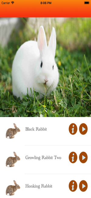 Rabbit Hunting calls(圖2)-速報App