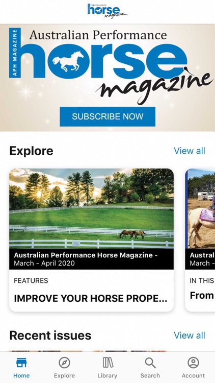 Australian Performance Horse