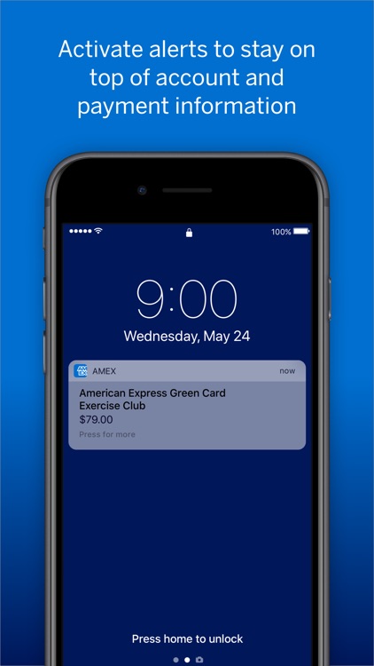 Amex screenshot-3