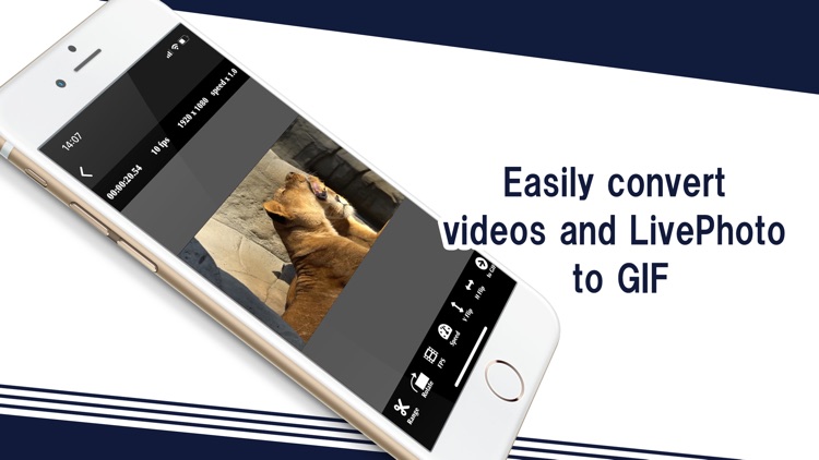 GIF Converter - video to GIF